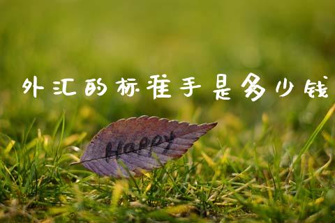 外汇的标准手是多少钱_https://wap.78312.cn_期货开户_第1张