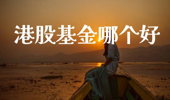 港股基金哪个好_https://wap.78312.cn_外汇交易_第1张