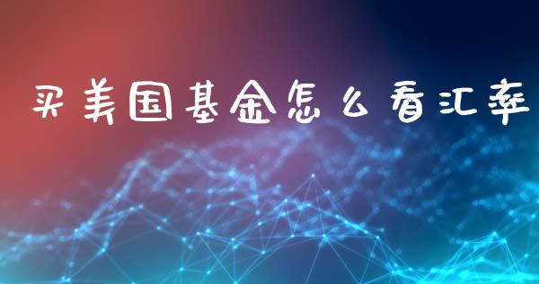 买美国基金怎么看汇率_https://wap.78312.cn_债券资讯_第1张