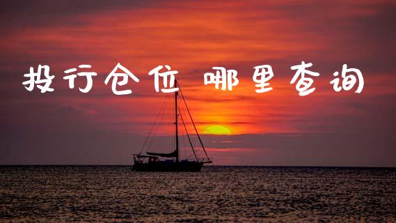 投行仓位 哪里查询_https://wap.78312.cn_财经新闻_第1张