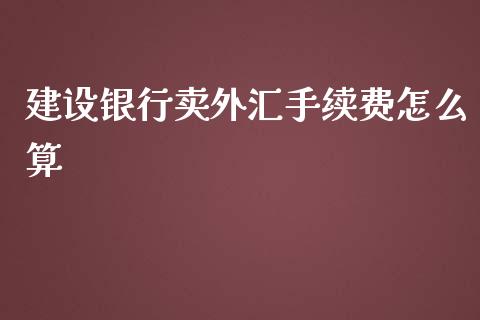 建设银行卖外汇手续费怎么算_https://wap.78312.cn_期货开户_第1张