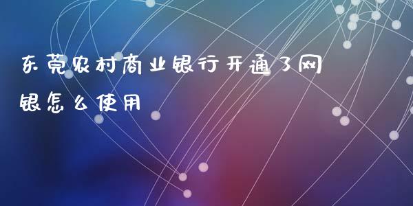 东莞农村商业银行开通了网银怎么使用_https://wap.78312.cn_外汇交易_第1张