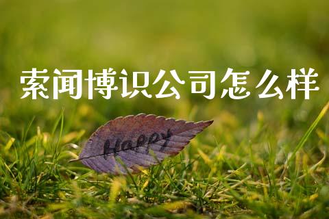 索闻博识公司怎么样_https://wap.78312.cn_债券资讯_第1张