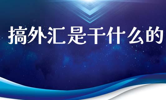 搞外汇是干什么的_https://wap.78312.cn_财经新闻_第1张