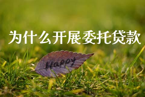 为什么开展委托贷款_https://wap.78312.cn_期货开户_第1张