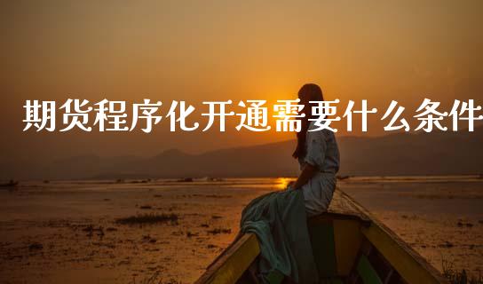 期货程序化开通需要什么条件_https://wap.78312.cn_金融监管_第1张