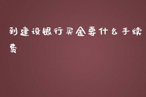 到建设银行买金要什么手续费_https://wap.78312.cn_财经新闻_第1张
