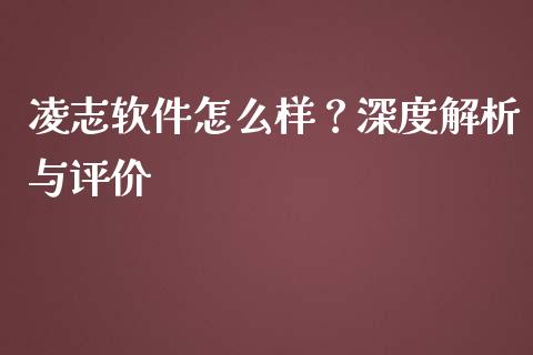 凌志软件怎么样？深度解析与评价_https://wap.78312.cn_债券资讯_第1张