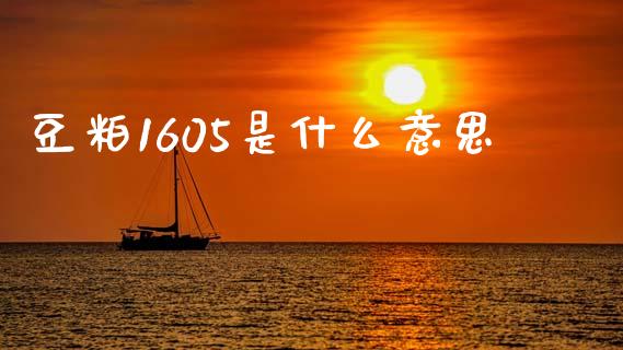 豆粕1605是什么意思_https://wap.78312.cn_债券资讯_第1张