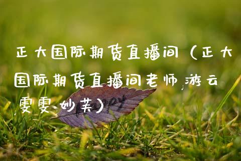 正大国际期货直播间（正大国际期货直播间老师,游云,雯雯,妙芙）_https://wap.78312.cn_金融监管_第1张