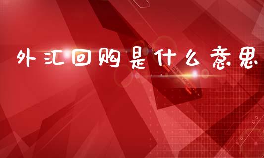 外汇回购是什么意思_https://wap.78312.cn_期货开户_第1张