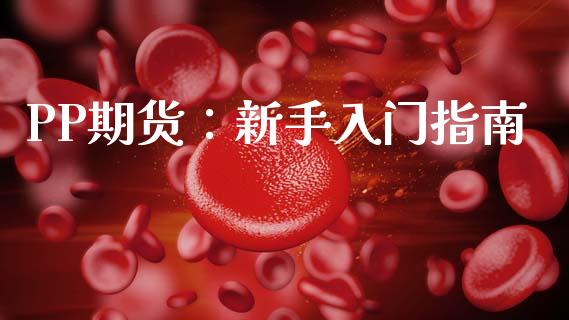 PP期货：新手入门指南_https://wap.78312.cn_外汇交易_第1张