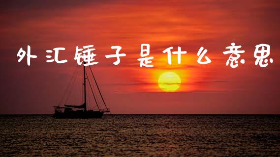 外汇锤子是什么意思_https://wap.78312.cn_全球市场_第1张