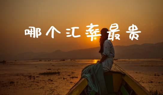 哪个汇率最贵_https://wap.78312.cn_外汇交易_第1张
