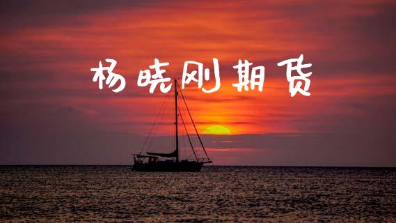 杨晓刚期货_https://wap.78312.cn_财经新闻_第1张