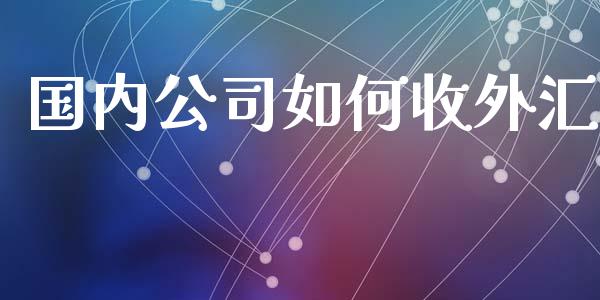 国内公司如何收外汇_https://wap.78312.cn_外汇交易_第1张