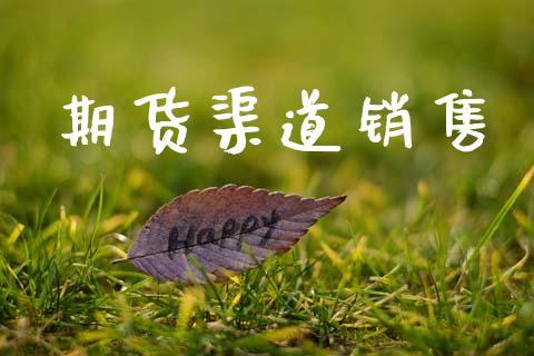 期货渠道销售_https://wap.78312.cn_金融监管_第1张