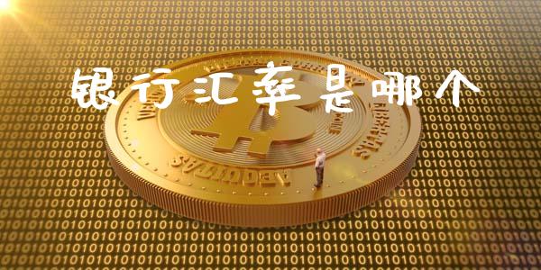 银行汇率是哪个_https://wap.78312.cn_金融监管_第1张
