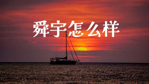 舜宇怎么样_https://wap.78312.cn_全球市场_第1张