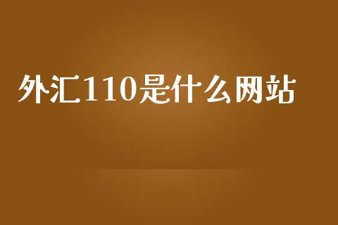 外汇110是什么网站_https://wap.78312.cn_期货开户_第1张