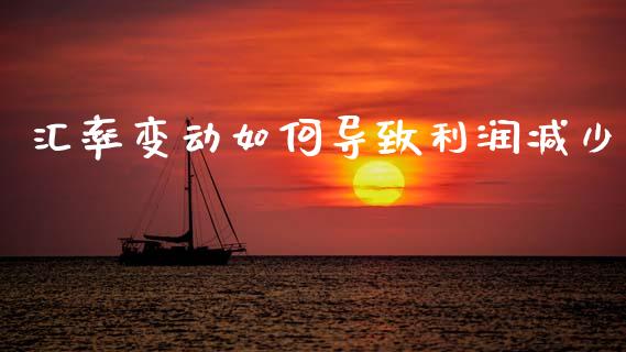 汇率变动如何导致利润减少_https://wap.78312.cn_外汇交易_第1张
