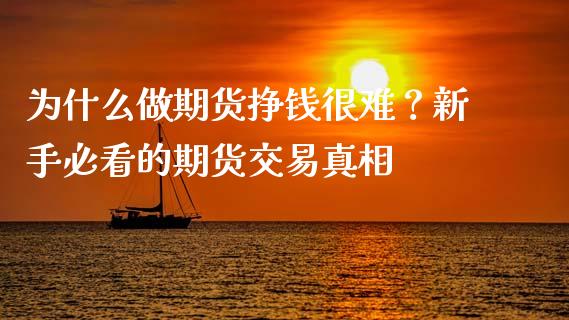 为什么做期货挣钱很难？新手必看的期货交易真相_https://wap.78312.cn_金融监管_第1张