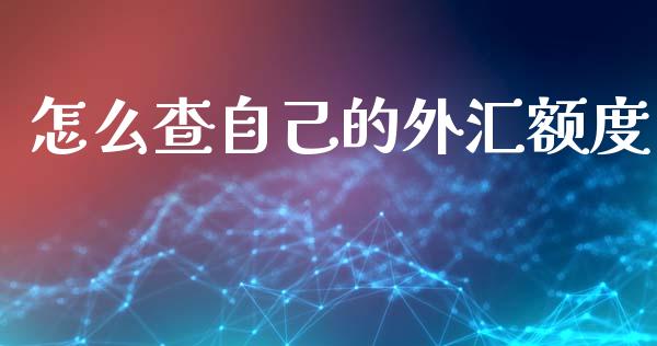怎么查自己的外汇额度_https://wap.78312.cn_期货开户_第1张