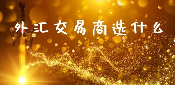 外汇交易商选什么_https://wap.78312.cn_金融监管_第1张
