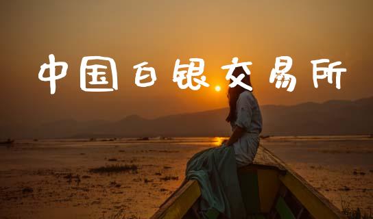 中国白银交易所_https://wap.78312.cn_金融监管_第1张