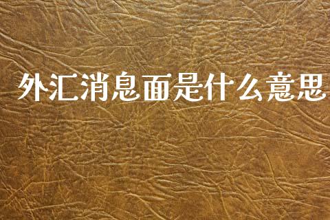 外汇消息面是什么意思_https://wap.78312.cn_财经新闻_第1张