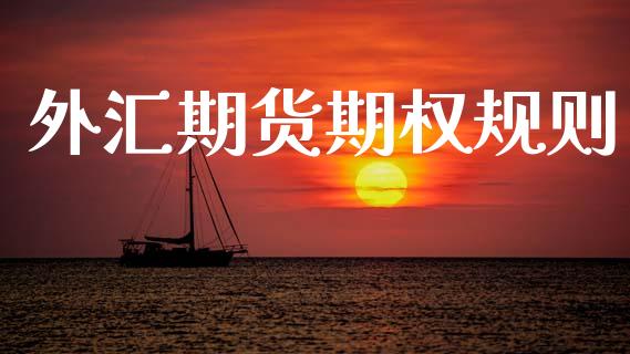 外汇期货期权规则_https://wap.78312.cn_财经新闻_第1张
