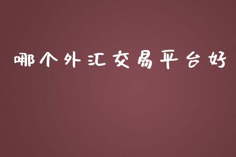 哪个外汇交易平台好_https://wap.78312.cn_期货开户_第1张