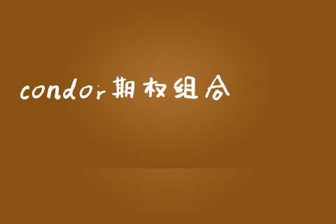condor期权组合_https://wap.78312.cn_债券资讯_第1张