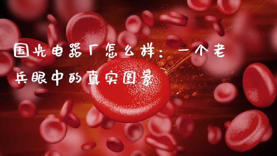 国光电器厂怎么样：一个老兵眼中的真实图景_https://wap.78312.cn_财经新闻_第1张