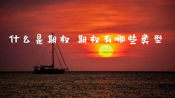 什么是期权 期权有哪些类型_https://wap.78312.cn_金融监管_第1张