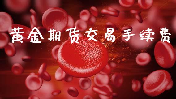黄金期货交易手续费_https://wap.78312.cn_金融监管_第1张