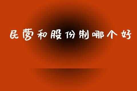 民营和股份制哪个好_https://wap.78312.cn_外汇交易_第1张