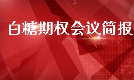 白糖期权会议简报_https://wap.78312.cn_财经新闻_第1张