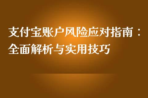 支付宝账户风险应对指南：全面解析与实用技巧_https://wap.78312.cn_债券资讯_第1张