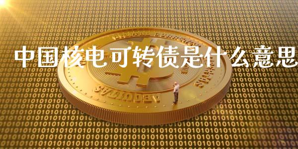 中国核电可转债是什么意思_https://wap.78312.cn_金融监管_第1张
