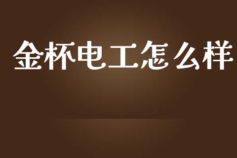金杯电工怎么样_https://wap.78312.cn_债券资讯_第1张
