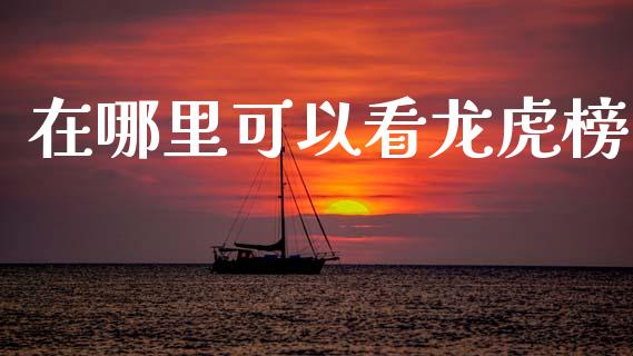 在哪里可以看龙虎榜_https://wap.78312.cn_债券资讯_第1张