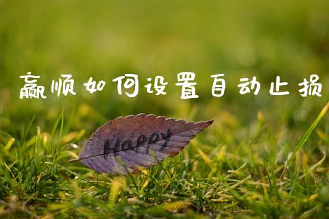 赢顺如何设置自动止损_https://wap.78312.cn_期货开户_第1张