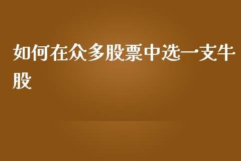 如何在众多股票中选一支牛股_https://wap.78312.cn_外汇交易_第1张