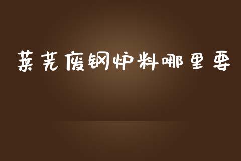 莱芜废钢炉料哪里要_https://wap.78312.cn_债券资讯_第1张