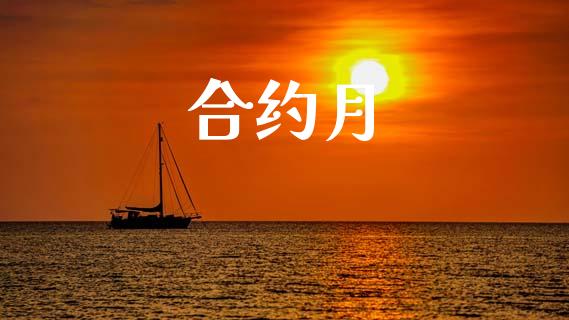 合约月_https://wap.78312.cn_期货开户_第1张