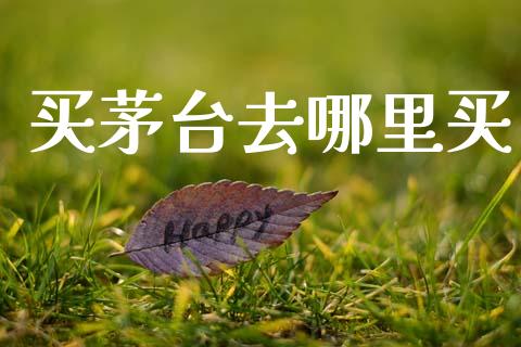 买茅台去哪里买_https://wap.78312.cn_金融监管_第1张
