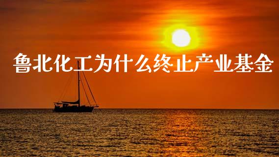 鲁北化工为什么终止产业基金_https://wap.78312.cn_外汇交易_第1张