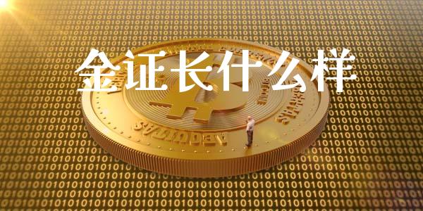 金证长什么样_https://wap.78312.cn_外汇交易_第1张
