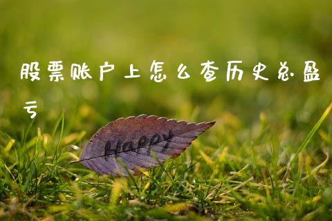 股票账户上怎么查历史总盈亏_https://wap.78312.cn_财经新闻_第1张